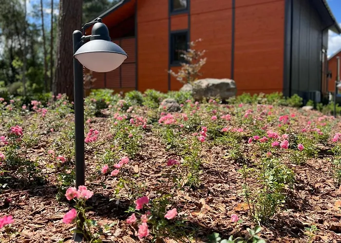 Rzecznicy Relaksu * Długosiodło